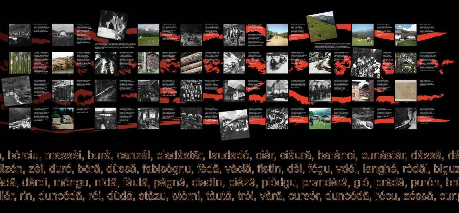 pannello informativo esposto al museo dedicato alle regole